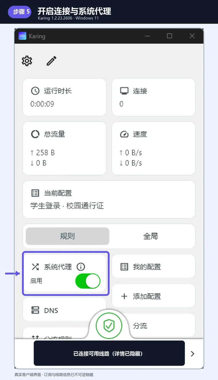 Karing 首页连接成功，系统代理绿色开关被紫色边框标出，线路详情已隐藏。